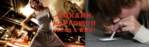 сатива Сафоново