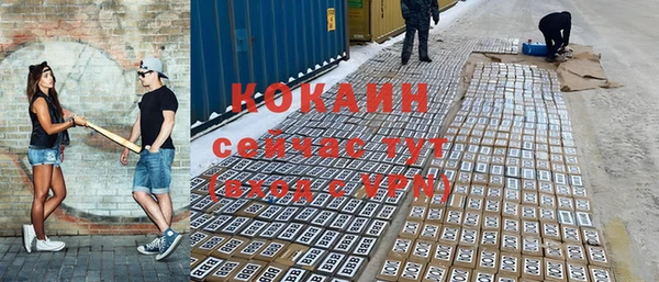 дмт Мегион