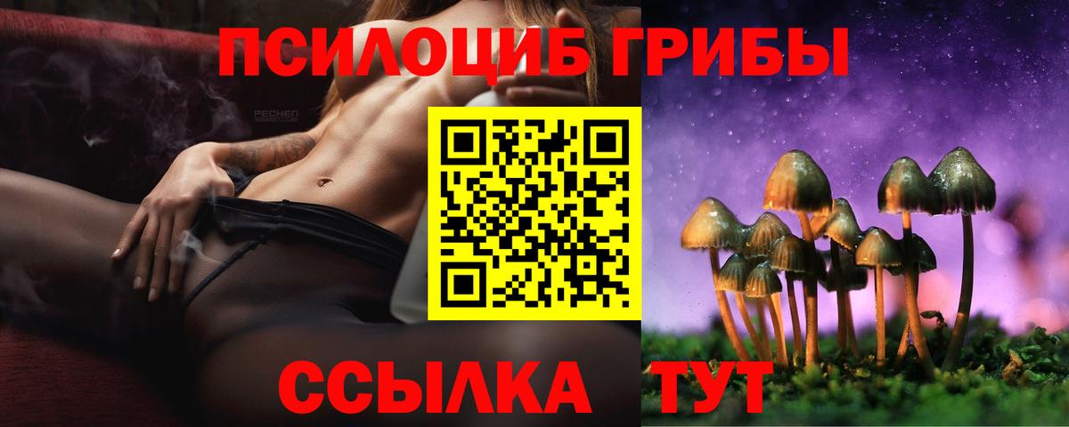 Камень-на-Оби  Псилоцибиновые грибы Magic Shrooms  Вход с VPN  Псилоцибиновые грибы MAGIC MUSHROOMS 